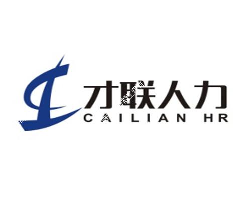 安徽才聯人力資源管理有限公司弱電系統工程