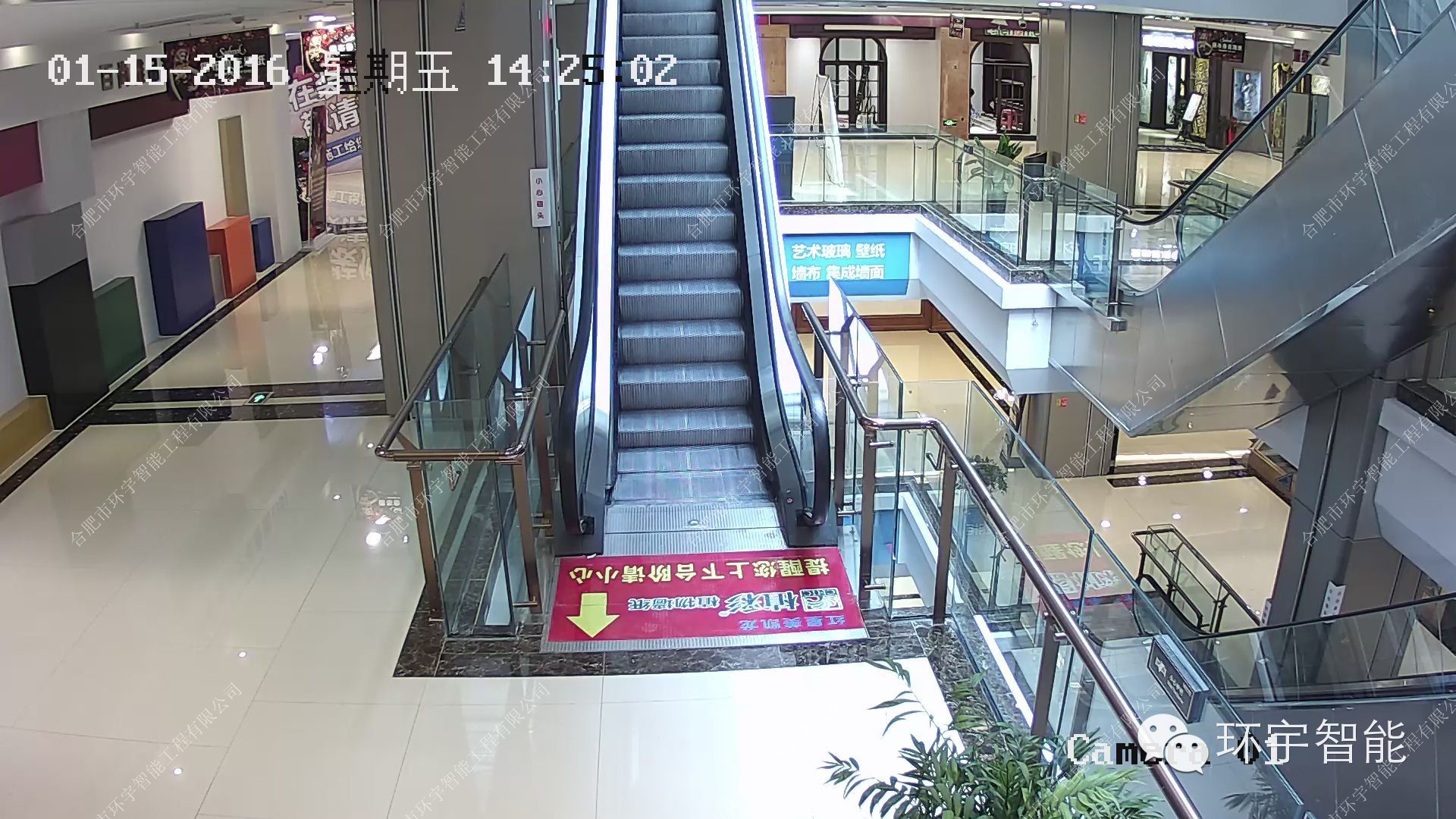 1733297248912144.jpg 5.jpg